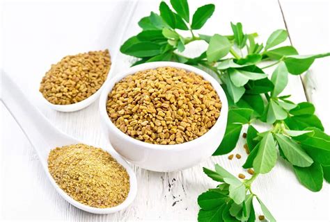 عيوب إستخدام بذور الحلبة