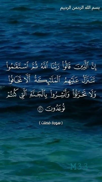 فاز بأفراح الشجعان الذين قالوا هذه العبارة