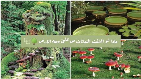 فرضية توضح ماذا سيحدث للمزرعة إذا اختفت جميع ديدان الأرض؟