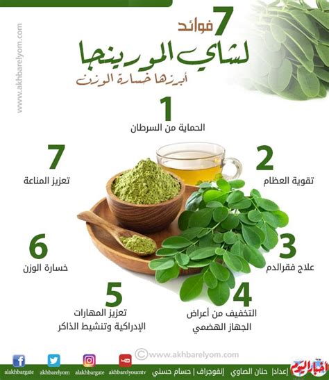 فوائد تناول شاي المورينجا لفقدان الوزن والتخسيس
