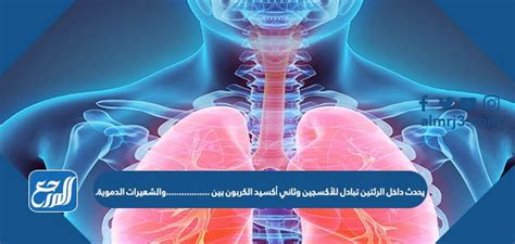 في الرئتين، هناك تبادل للأكسجين وثاني أكسيد الكربون بين الشعيرات الدموية والشعيرات الدموية.