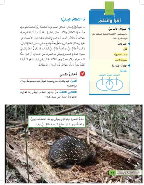 في الطلائعيات، يتشابه جذع الأورام الحميدة مع البوغ القمي أكثر من جذع الهدبية في شرح طريقة تنفسها وإفرازها.