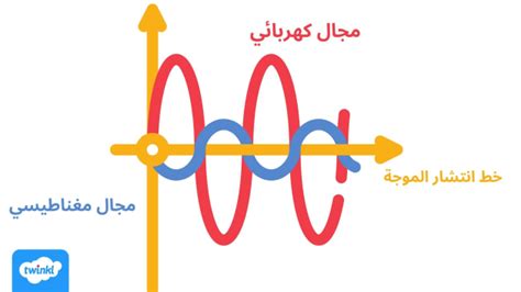 في الموجات ………… .. هل تتحرك جسيمات المادة للأمام وللخلف في اتجاه انتشار الموجة؟