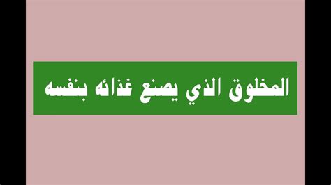 فيديو المخلوق الذي يصنع غذائه بنفسه