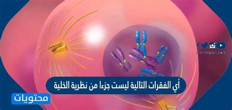 فيديو اي الفقرات التالية ليست جزءا من نظرية الخلية