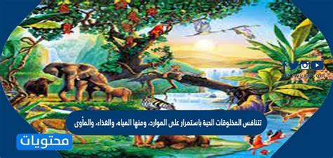فيديو تتنافس المخلوقات الحية باستمرار على الموارد، ومنها المياه، والغذاء، والمأوى