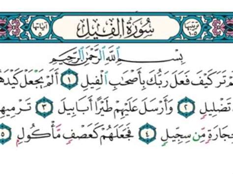 فيديو من المخاطب في قوله تعالى الم ترى كيف فعل ربك بعاد