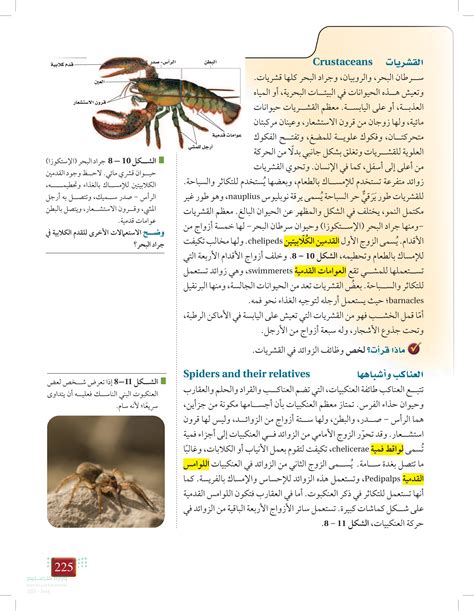 قارن بين الزوائد التي تستخدمها القشريات والعناكب للقبض على الفريسة؟