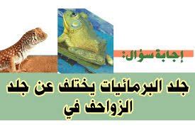 قارن كيف يختلف جلد البرمائيات والزواحف باختلاف جلد البرمائيات عن جلد الزواحف