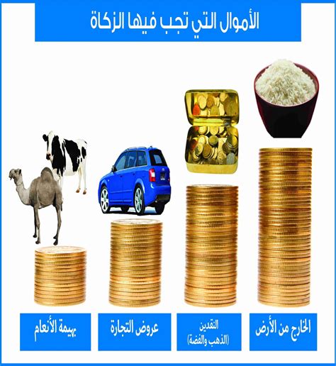 قرار بمخالفة شرط من شروط الزكاة وهو تحريم أكل الحيوانات