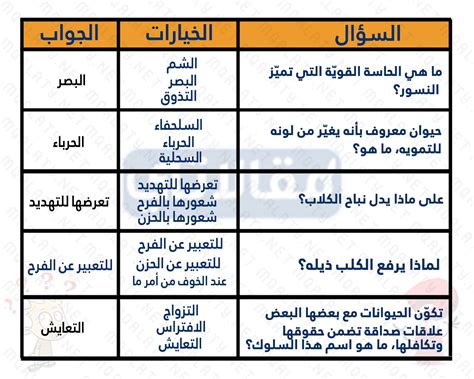 قضايا ثقافية مع خيارات شيقة وممتعة على أكمل وجه |  -موقع الكتروني