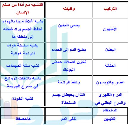 قم بإنشاء جدول يوضح الهياكل التالية، ووظائفها، وأوجه تشابهها مع جهاز اصطناعي: الكيس الأمنيوسي، والمثانة، وعضو جاكوبسون، والدرع الخلفي، والدروع الداخلية في كليتي السلحفاة.