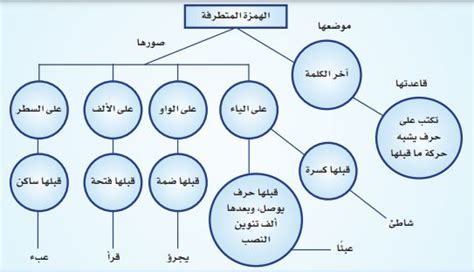 قم بتسمية كل جثة من الآتي وأعط عدد وجوهها وأشكالها، ثم أعط عدد حروفها ورؤوسها؟