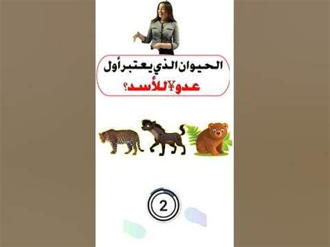 قم بحل لغز الشيء الأسود الصغير الذي يخاف منه الكثيرون