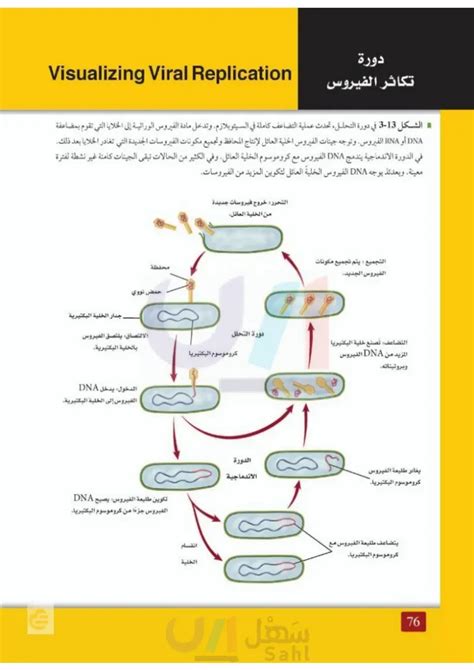 قم بعمل قائمة بالمهن المختلفة المتعلقة بالبكتيريا والفيروسات والبريونات؟ قم بعمل قائمة بالمهن المختلفة المتعلقة بالبكتيريا والفيروسات والبريونات؟