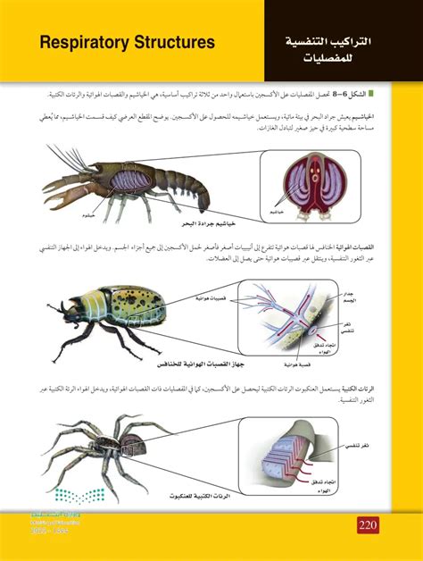 قيم الخصائص الرئيسية الثلاث للمفصليات التي تسمح لهم بالعيش في جميع البيئات قيم الخصائص الرئيسية الثلاث للمفصليات التي تسمح لهم بالعيش في جميع البيئات