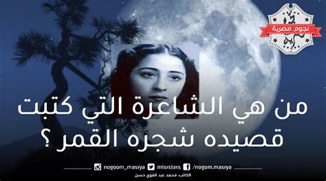 كتبت قصيدة تعبر بصدق عن مشاعري، الاسم المحدد في الجملة السابقة هو - Briefing net