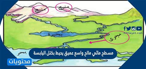 كتلة كبيرة وعميقة ومالحة من المياه تحيط بكتل اليابسة