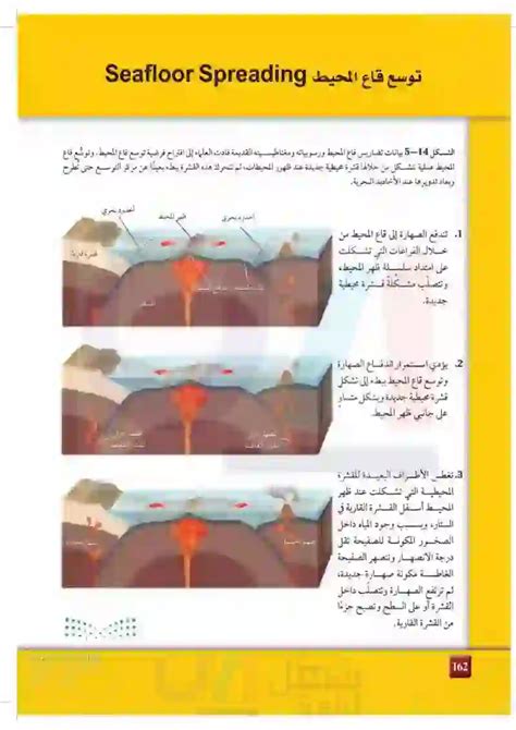 كلما زاد عمق المحيط، قل الضوء الذي يخترق هذه المنطقة، سواء أكان ذلك صحيحًا أم خطأ