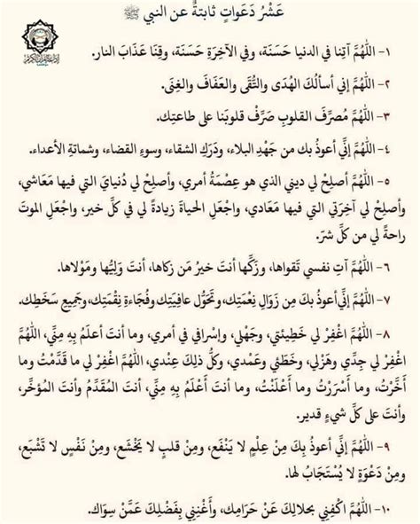 كلها بيضاء كالصقر، ارفع ساقك، تخطو إلى كل شيء؟