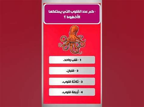 كم عدد القلوب والأذرع التي يمتلكها الأخطبوط؟ كم عدد القلوب والأذرع التي يمتلكها الأخطبوط؟