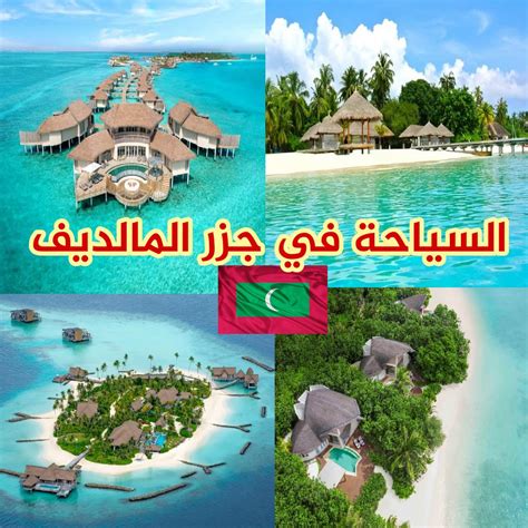 كيف تحدد أفضل جزيرة تزورها في جزر المالديف؟