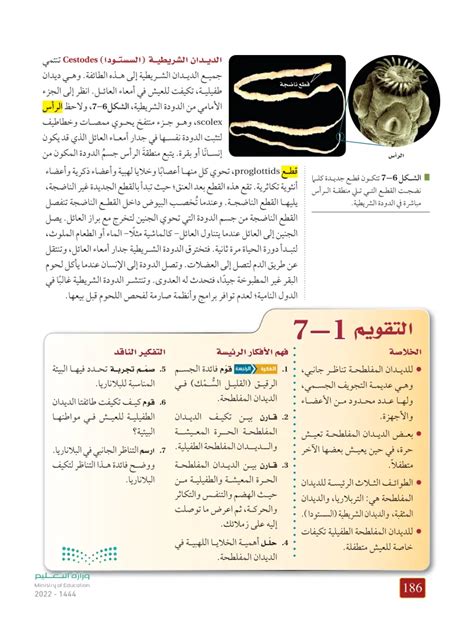 كيف تكيفت فئتا الديدان الطفيلية مع بيئتها البيئية؟ كيف تكيفت فئتا الديدان الطفيلية مع بيئتها البيئية؟