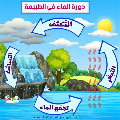 كيف يتحرك الماء في دورة الماء؟ في إجابتي أستخدم المفردات: التبخر، التكثيف، هطول الأمطار