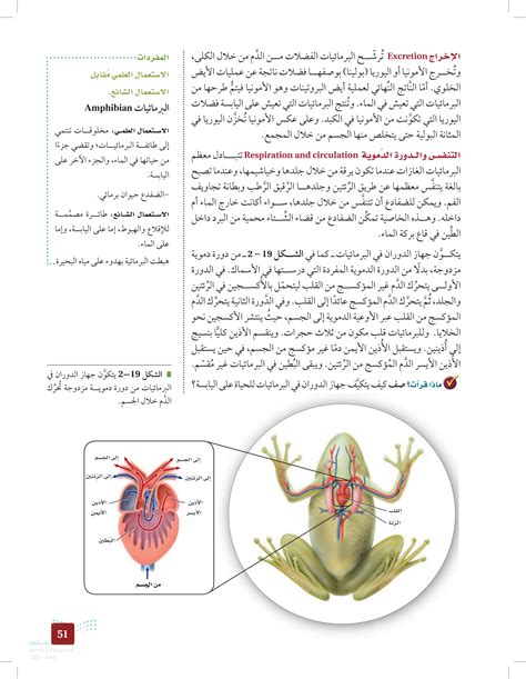 كيف يتكيف نظام الدورة الدموية للبرمائيات مع الحياة على الأرض؟ كيف يتكيف نظام الدورة الدموية للبرمائيات مع الحياة على الأرض؟