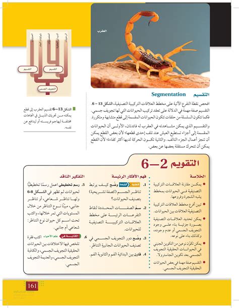 كيف يرتبط تناظر الجسم كميزة تشريحية بتصنيف الحيوانات؟ كيف يرتبط تناظر الجسم كميزة تشريحية بتصنيف الحيوانات؟