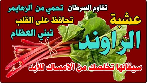 كيفية استخدام الراوند للإمساك