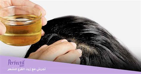 كيفية استخدام زيت القنب كبديل لمكيف الشعر