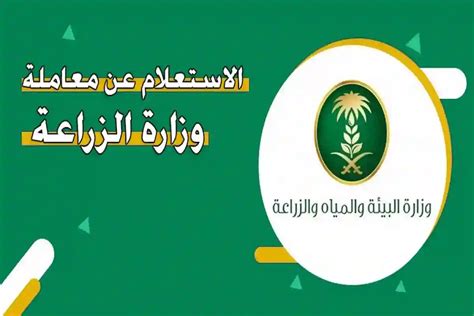 كيفية الاستعلام عن إيقاف الخدمات للمواطن في السجل المدني