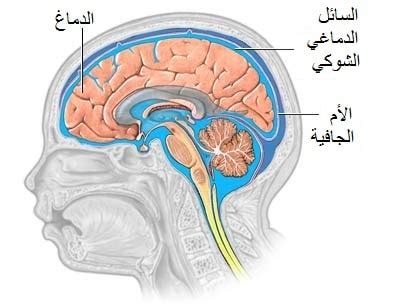 كيفية التعامل مع تصريف السائل الدماغي الشوكي من الأنف
