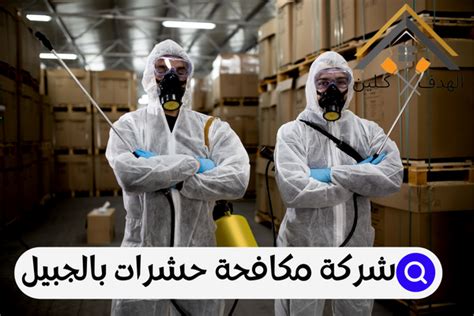كيفية التعامل مع شركات مكافحة الآفات بالجبيل