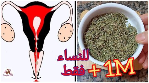 كيفية تنزيل الفترة المتأخرة بسهولة وبسرعة