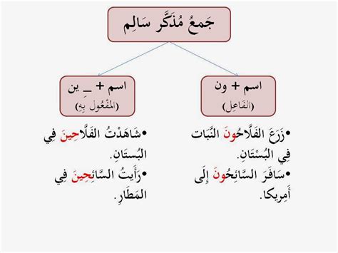 كيفية جعل الأسماء غير المكتملة والمختصرة في صيغة الجمع المذكر الصحي