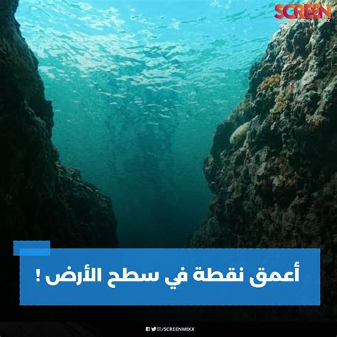 لحل اللغز المحيط باسم هذا الطعام، تجدر الإشارة إلى أن أسماء الأطباق من بين الأسماء العلمية التي غالبًا ما تستخدم في ألعاب الألغاز، خاصة أنها متشابهة في مجتمعاتنا العربية من حيث الثقافة الغذائية و أسمائهم، ولهذا السبب يتعامل اللغز المذكور أعلاه مع محتواه.