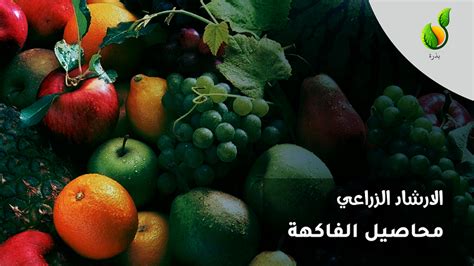 لخص حالات بيع محاصيل الفاكهة والحقول مع شرح للحكم ذي الصلة