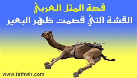لغز اسم البعير الذي سقط بسبب قتله حرب الباسوس 4 أحرف