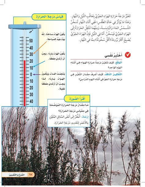 لقد تساقطت الثلوج اليوم وارتفعت درجة حرارة الهواء فوق الصفر فماذا أتوقع؟