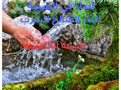 لقد تعلم الإنسان من الطبيعة كيف يصنع الماء الصالح للشرب من مياه البحر. اشرح الجملة