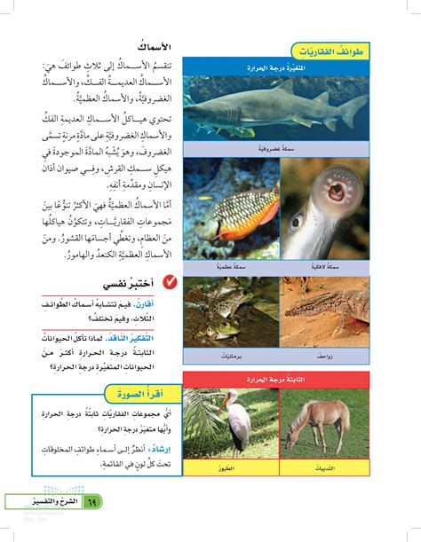لماذا تأكل الحيوانات ذات درجة الحرارة الثابتة أكثر من الحيوانات ذات درجة الحرارة المتغيرة؟ لماذا تأكل الحيوانات ذات درجة الحرارة الثابتة أكثر من الحيوانات ذات درجة الحرارة المتغيرة؟