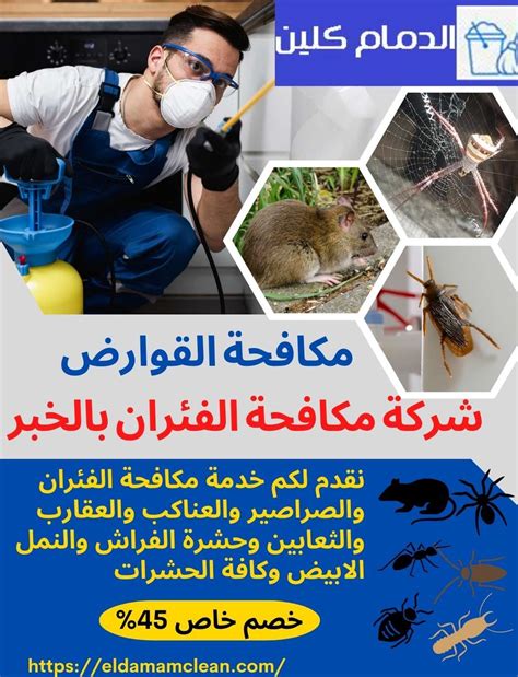 لماذا تعتبر شركة الخبر لمكافحة الحشرات من أفضل الشركات المتخصصة في إبادة الحشرات؟