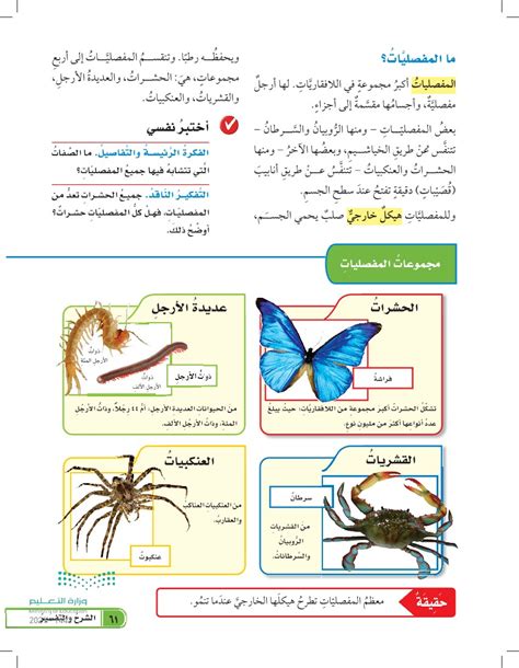 لماذا لا تعيش بعض الحيوانات ذات الأجسام الرخوة، بما في ذلك الأشواك، على الأرض؟