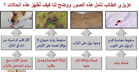 لماذا يسمى نجاسة الكلب أسمك ونجاسة الصبي أخف؟