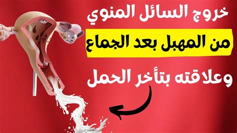 ما التفسير عندما يرى الرجل أنه يجمع البيض أثناء نومه؟