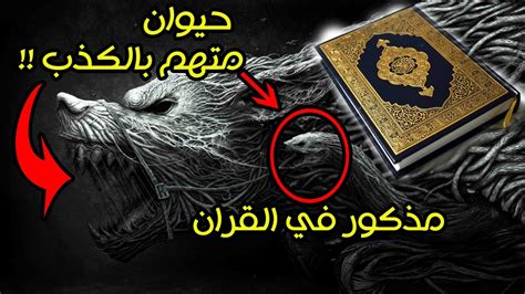 ما الحيوان الذي اتهم زورا في إحدى قصص الأنبياء؟