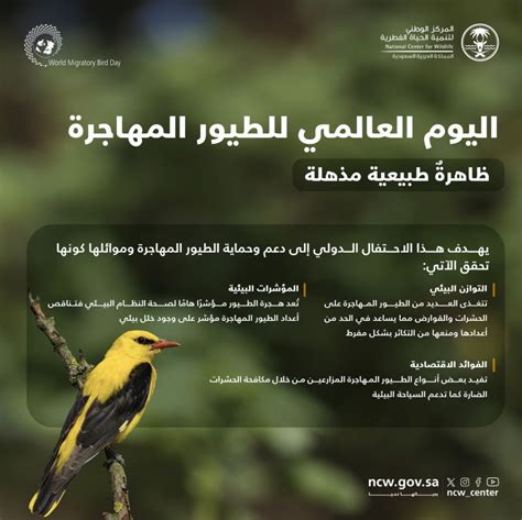 ما الدور الذي تلعبه الطيور في انتشار الغطاء النباتي؟