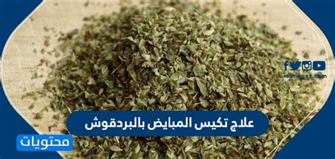ما الدور الذي يلعبه البردقوش في علاج تكيس المبايض؟